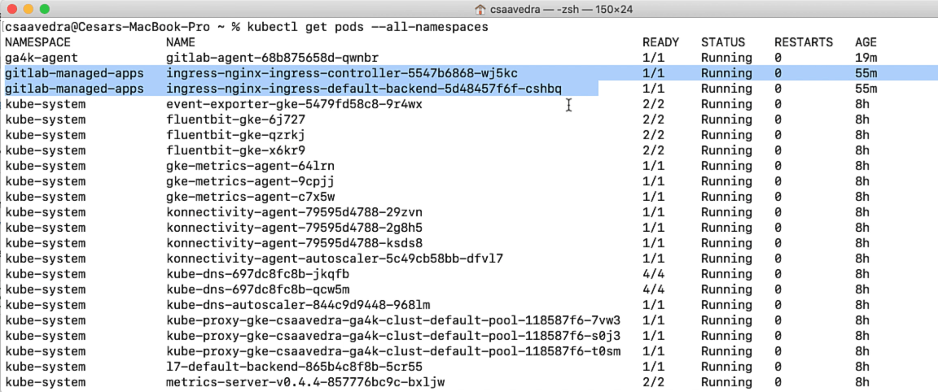 Ingress pods up and running