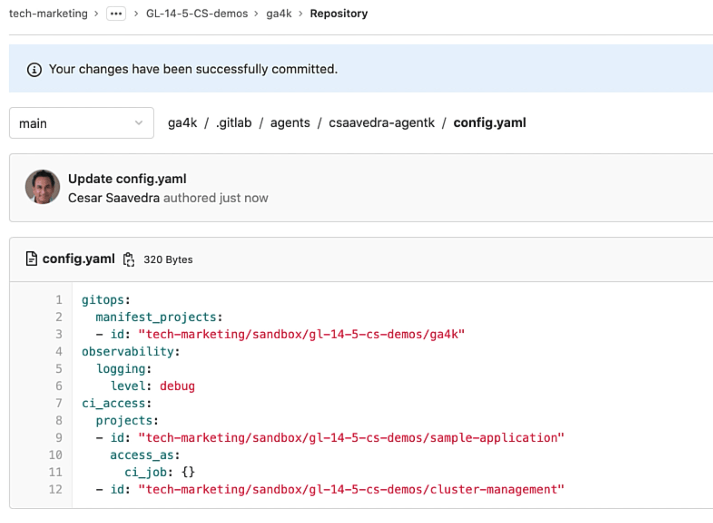 Impersonating the CI job
