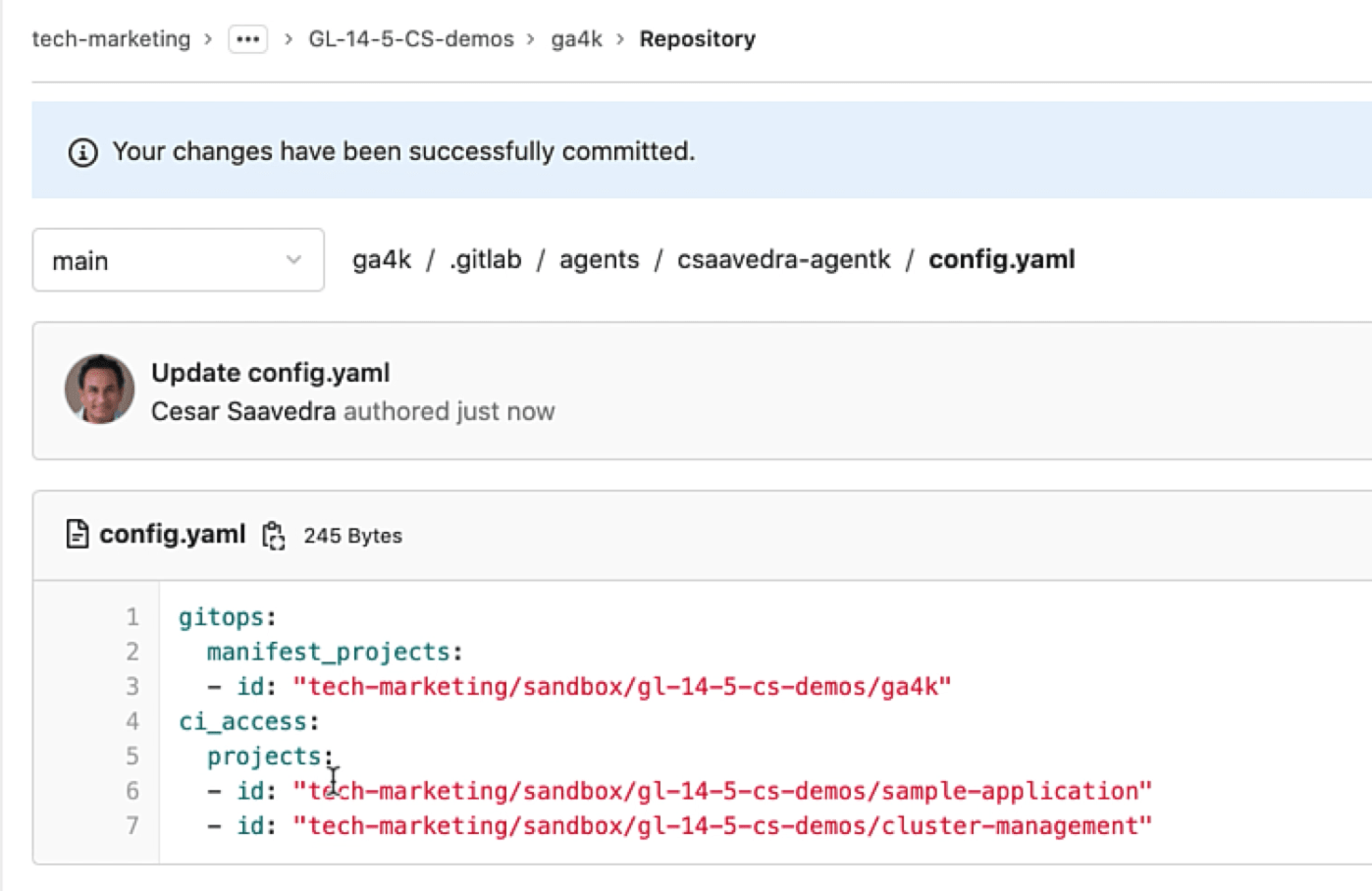 The GitLab Agent for K8s configuration