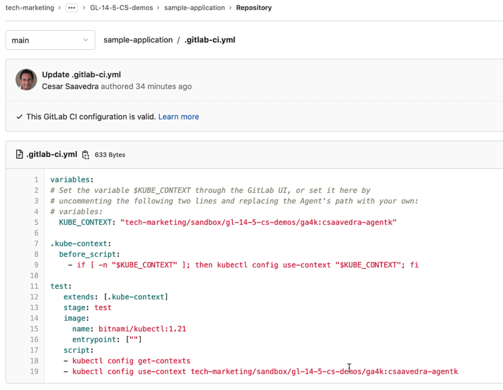 Project "sample-application" pipeline
