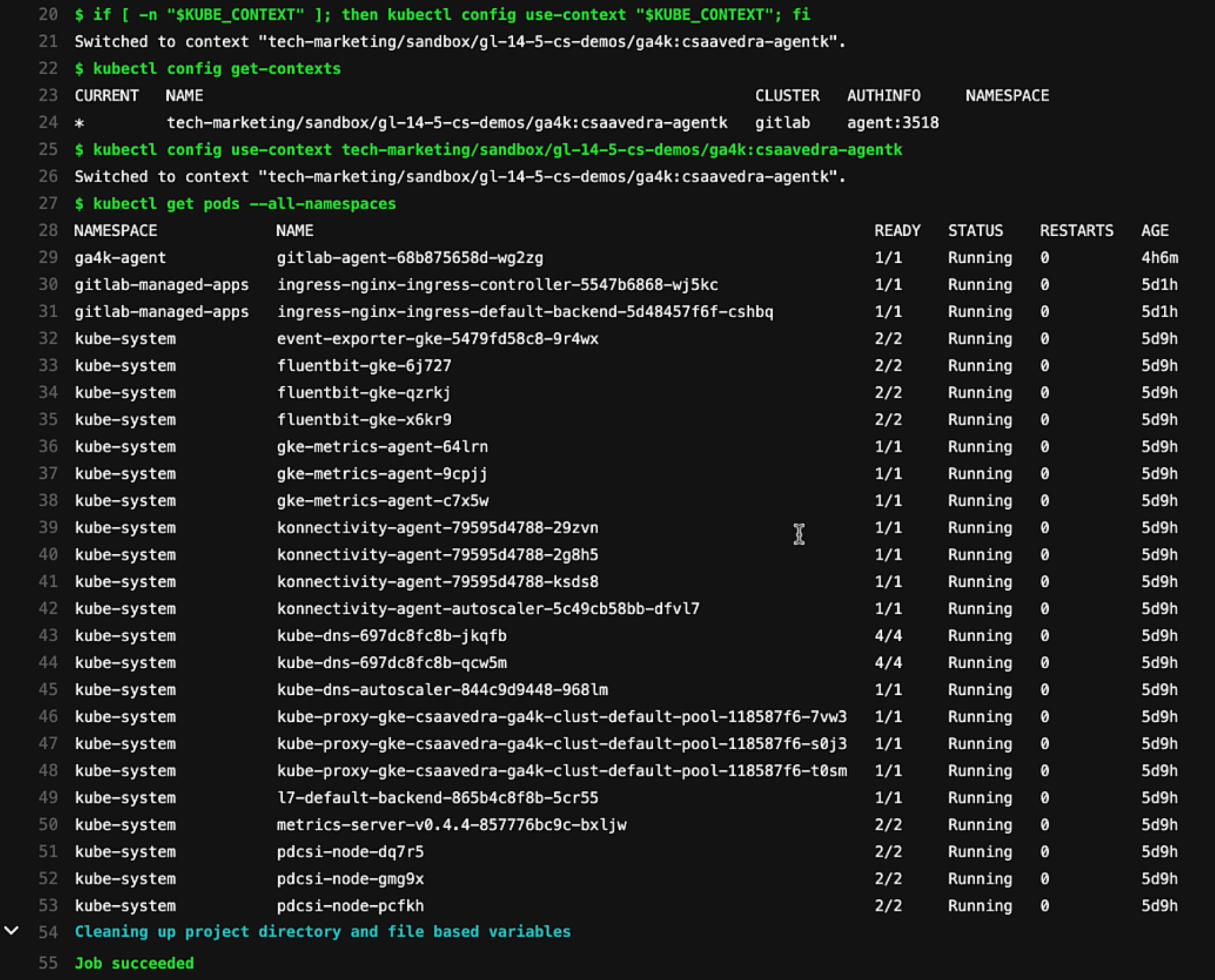 Job output for pipeline impersonation jane