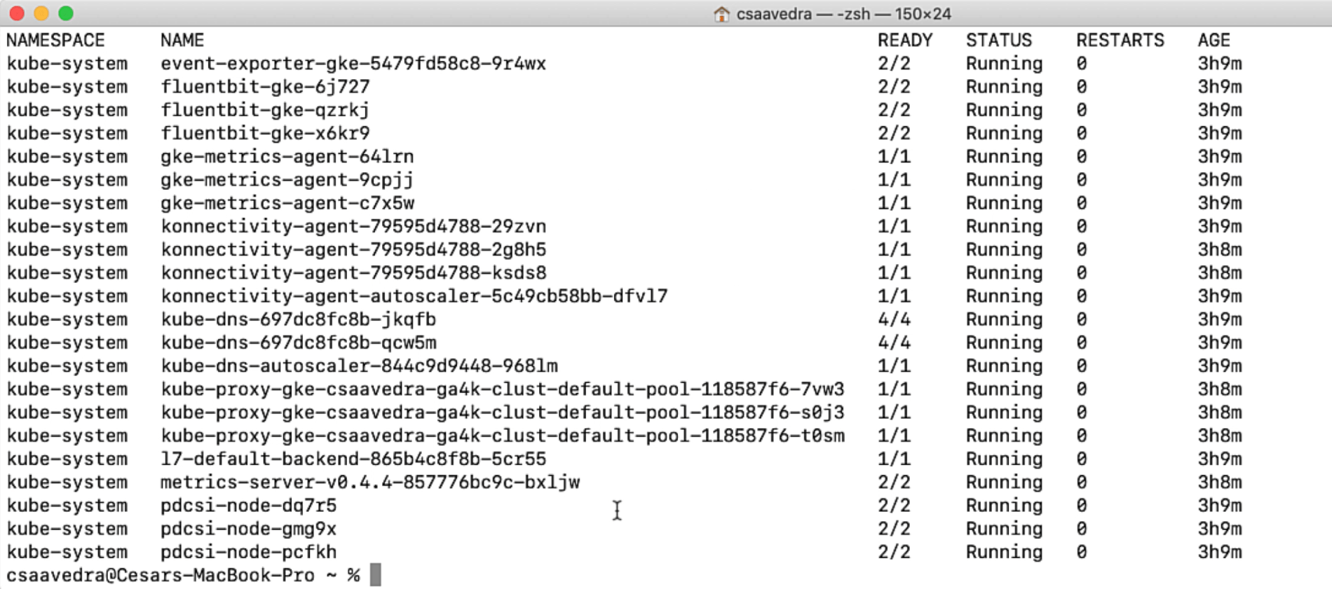Listing the pods in your running cluster