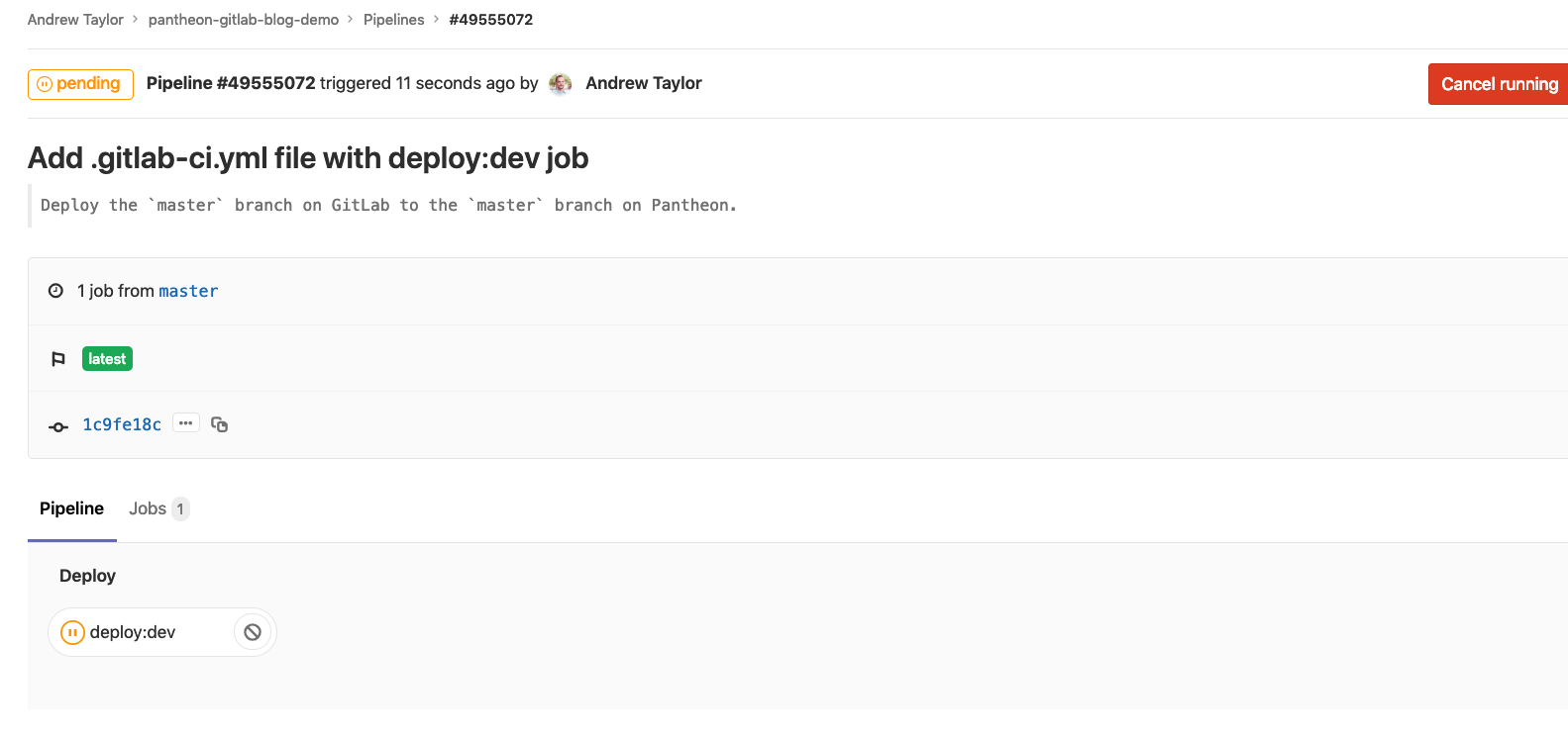 deploy job