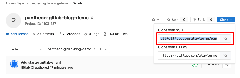 Gitlab git connection